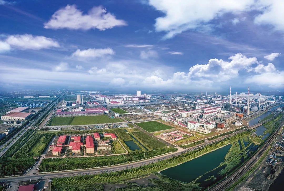 河钢15.jpg