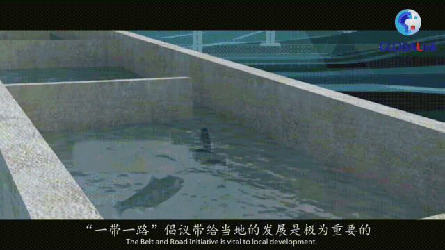 水5.gif