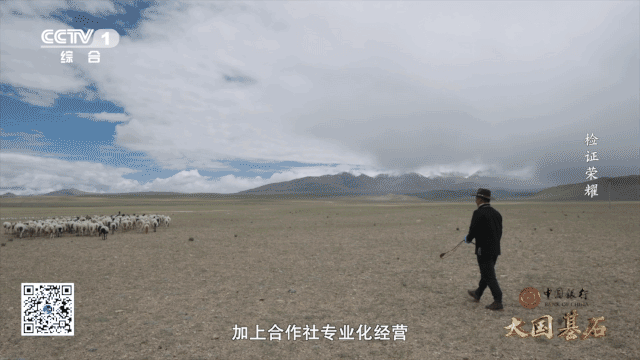 CV14.gif