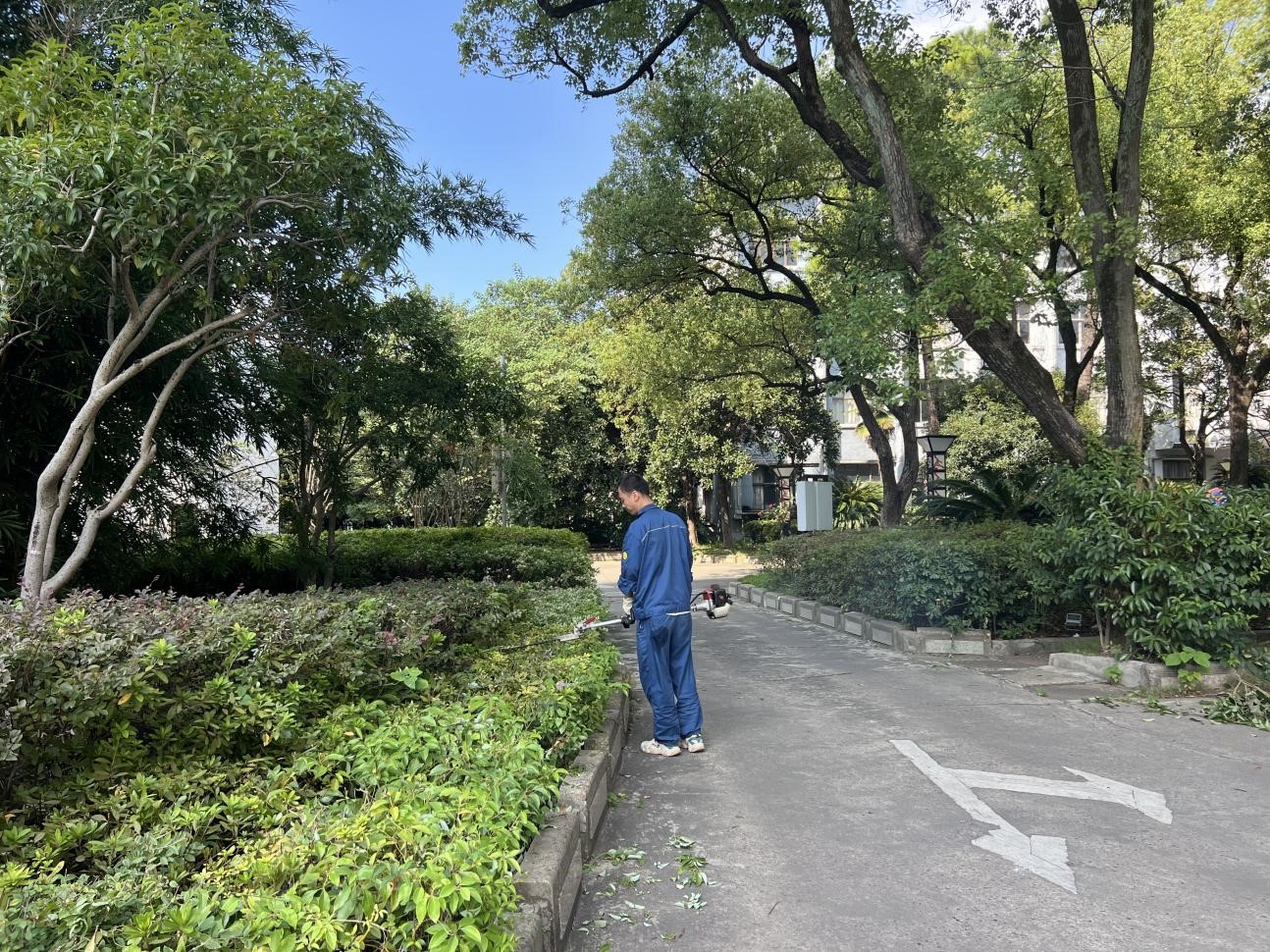 图片8.jpg 图片8.jpg