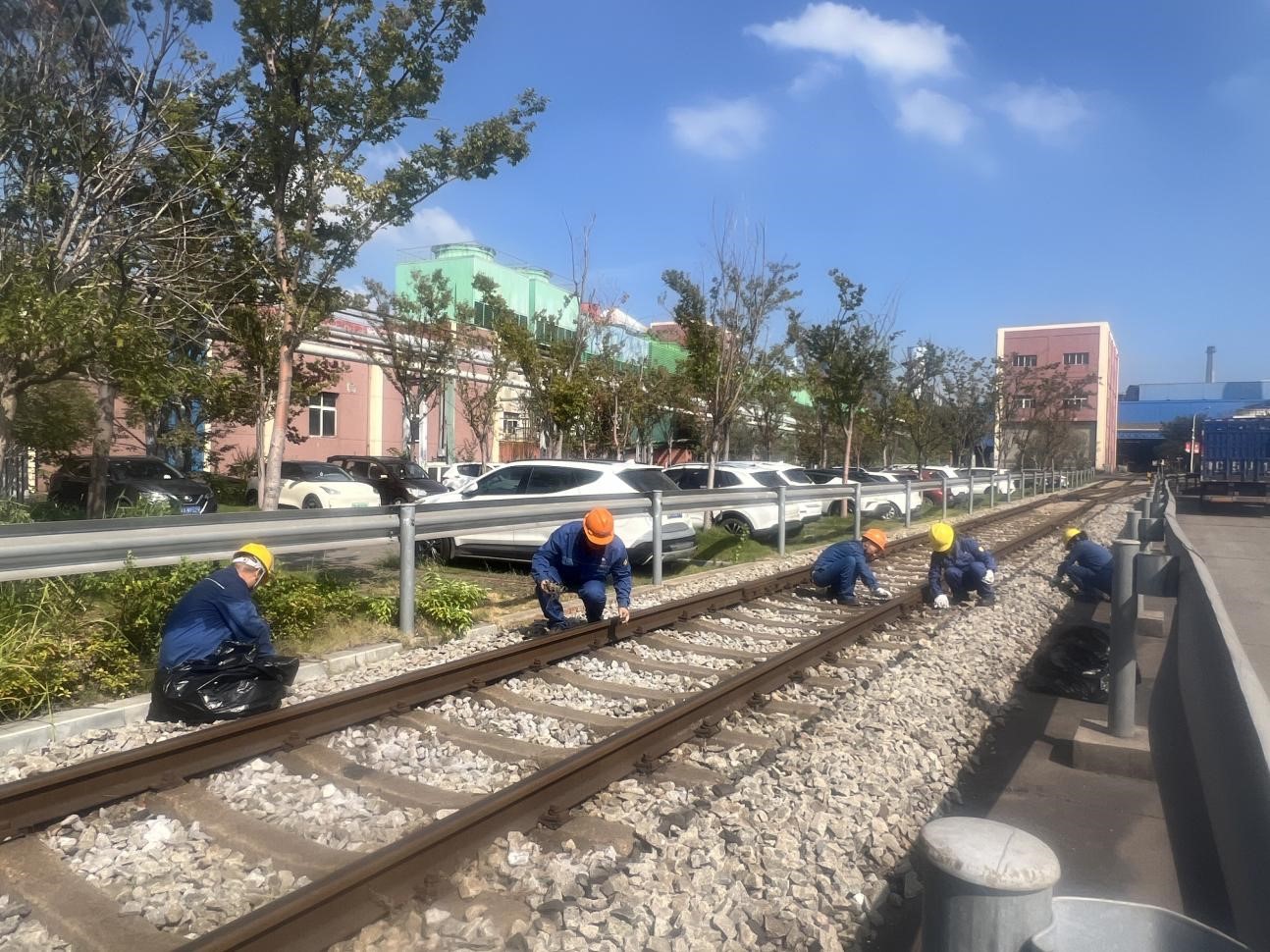 图片9.jpg 图片9.jpg